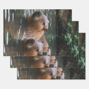 das Baden von Capybaras im Fluss, Geschenkpapier Set