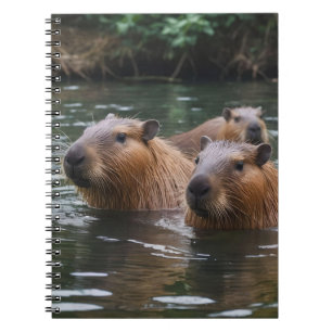 das Baden von Capybaras im Fluss, Notizblock