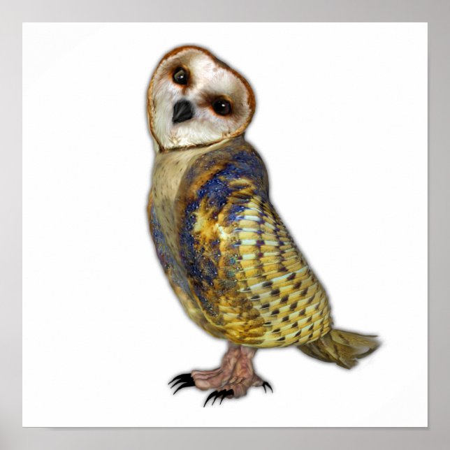 Das Barschaf Poster (Vorne)