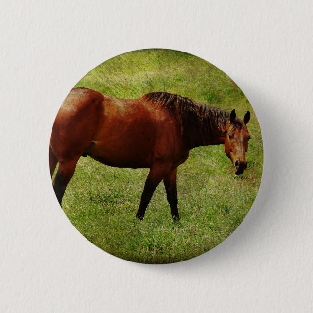 Das Bay Horse Button (Vorderseite)