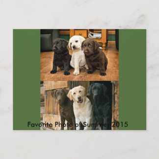 Das beliebteste Foto von 2015: Postkarte