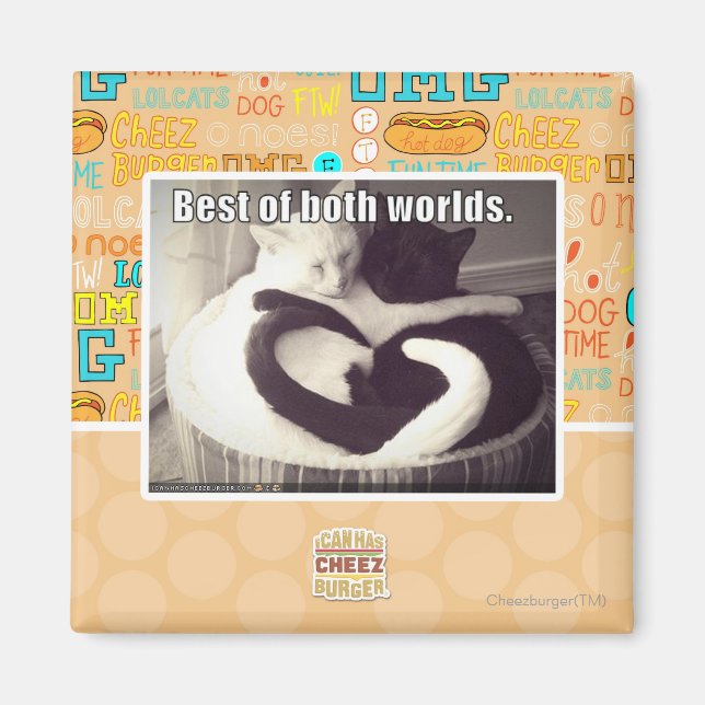 Das Beste aus beiden Welten. Magnet (Vorne)