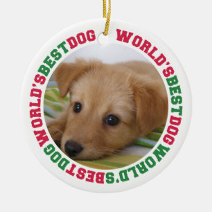Das beste Foto der Welt für hunengrüne Pfoten Keramik Ornament