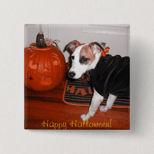 Das beste Halloween des Glanzschusses Button