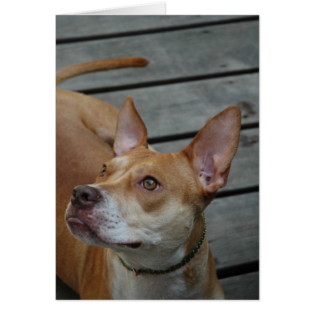 Das Beste im Mann (Vorne)