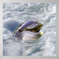 Das beste Lächeln eines Delfins