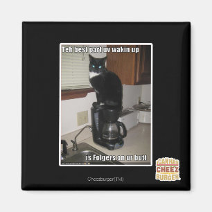 das beste Teil uv aufwachen Magnet