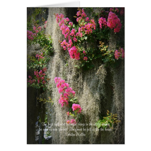 Das Beste und Schönste... (Vorne)