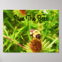 Das Bienenposter gerettet