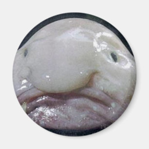 Das Blobfish Magnet