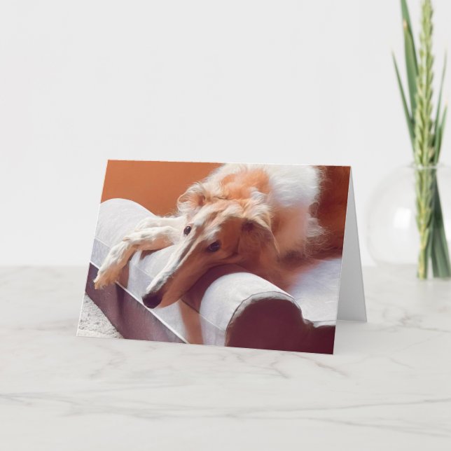 Das Borzoi-Gesicht Ankündigung (Vorderseite)