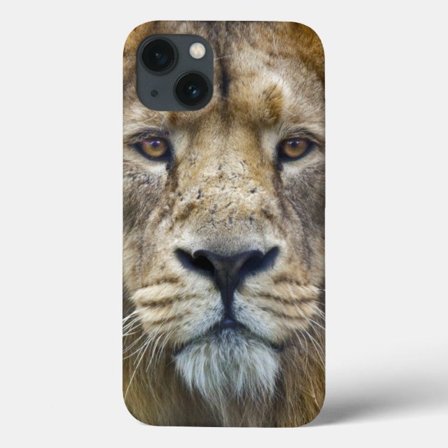Das Boss iPad Case (Rückseite)