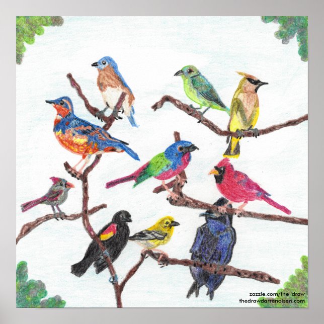 Das bunte Poster der Ansammlung-Songbirds (Vorne)