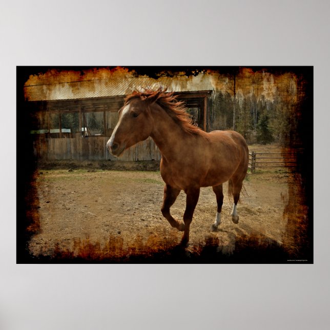 Das Cantering Sorrel Pferd kommt Zuhause zum Stall Poster (Vorne)