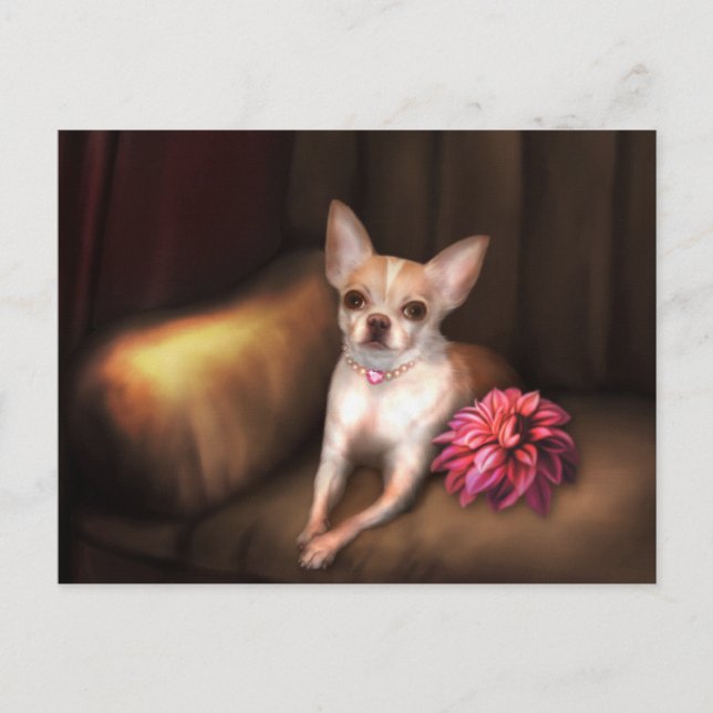 Das "Chihuahua-Portrait I" der Jaguarwoman Postkarte (Vorderseite)