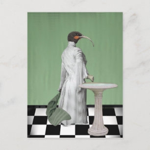 Das Damenbad Postkarte