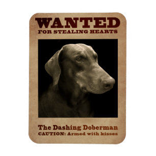 Das Dashing Doberman Magnet