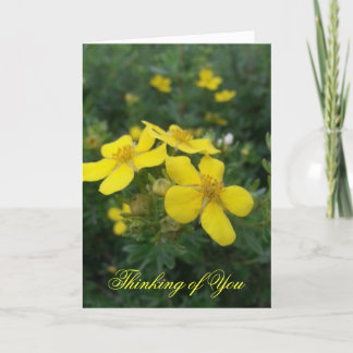 Das Denken an Sie kardieren Karte