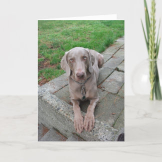 Das Denken an Sie kardieren Karte