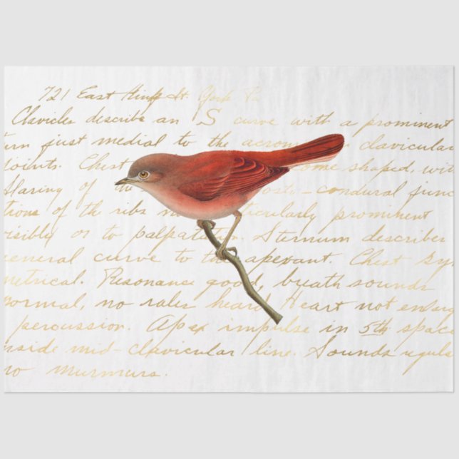 Das Design der Bouquet-Serie 140 Seidenpapier (Vorderseite)