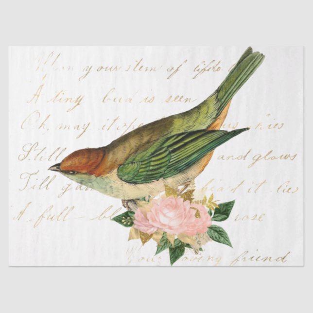 Das Design der Bouquet-Serie 85 Seidenpapier (Vorderseite)