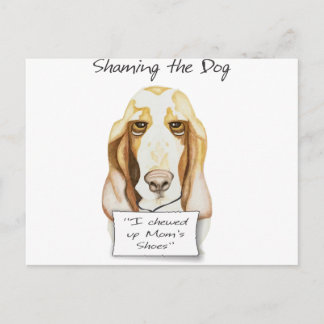 Das Dog Basset Hound schämen Postkarte