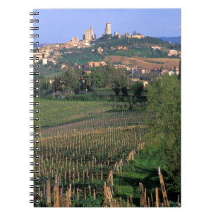 Das Dorf San Gimignano liegt im Wald Notizblock