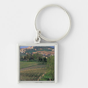 Das Dorf San Gimignano liegt im Wald Schlüsselanhänger