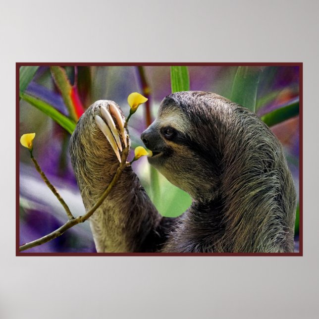 Das dreiteilige Plakatpapier für den Zahn Poster (Vorne)