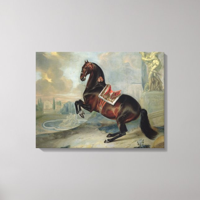 Das dunkle Pferd "Valido" Leinwanddruck (Vorderseite)