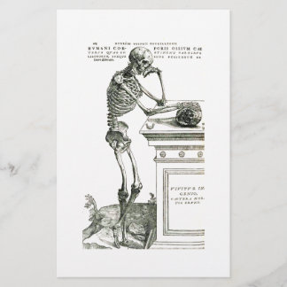 Das durchdachte Skelett