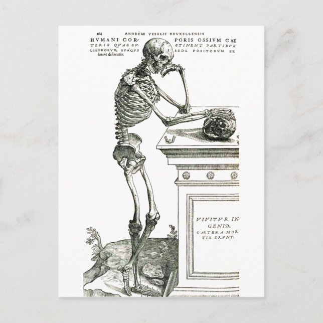 Das durchdachte Skelett Postkarte (Vorderseite)
