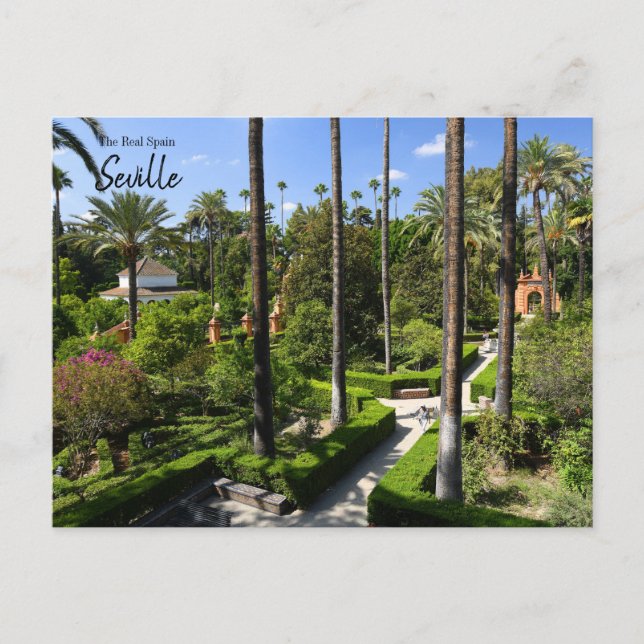 Das echte Spanien - Sevilla Postkarte (Vorderseite)