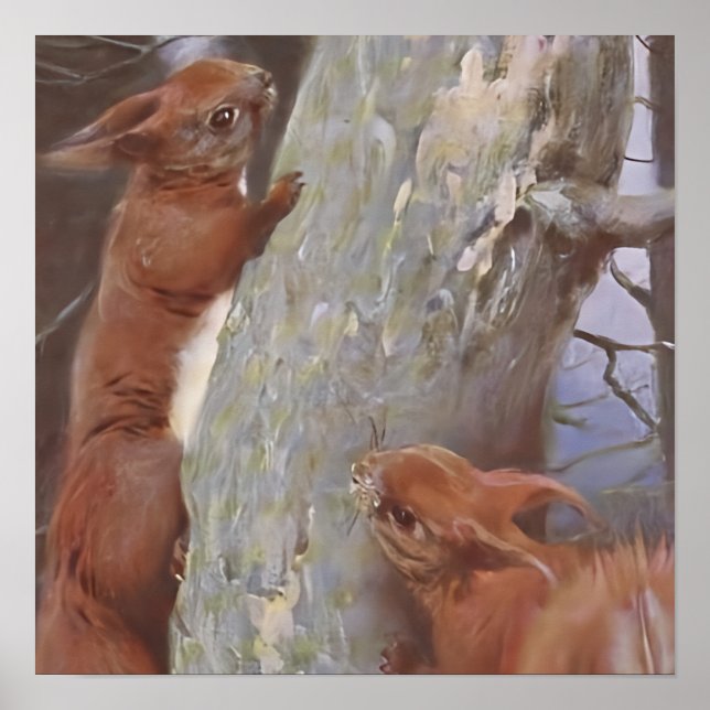 DAS EICHHÖRNCHEN (Sciurus vulgaris) Poster (Vorne)