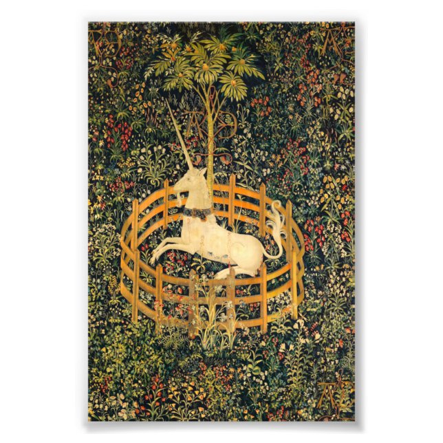 Das Einhorn in Gefangenschaft Fotodruck (Vorne)