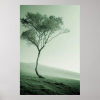 Das einsame Enteninel: Ein winziger Baum