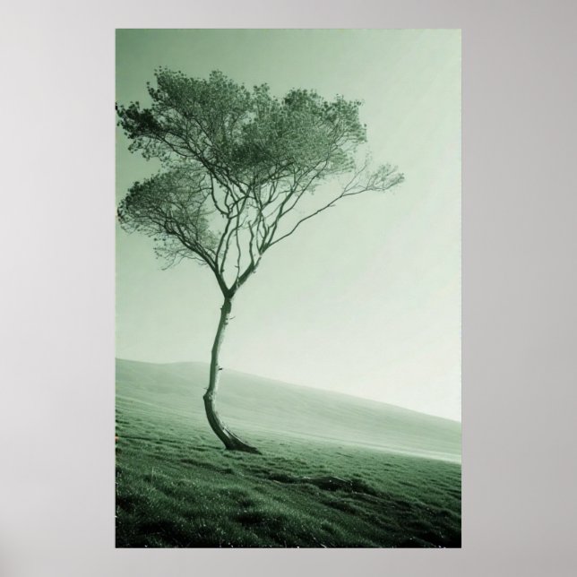 Das einsame Enteninel: Ein winziger Baum Poster (Vorne)