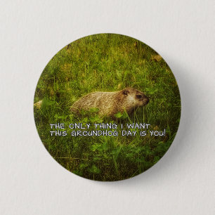 Das einzige, was ich diesen "Groundhog Day"-Knopf  Button