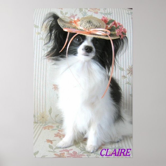 Das elegante Papillon Poster (Vorne)