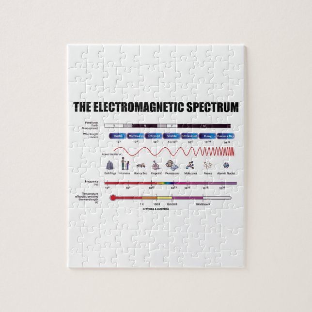 Das elektromagnetische Spektrum (Vertikal)