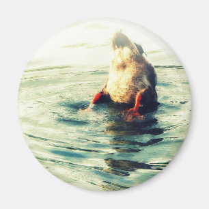 Das Ende! Duck Hintern Magnet