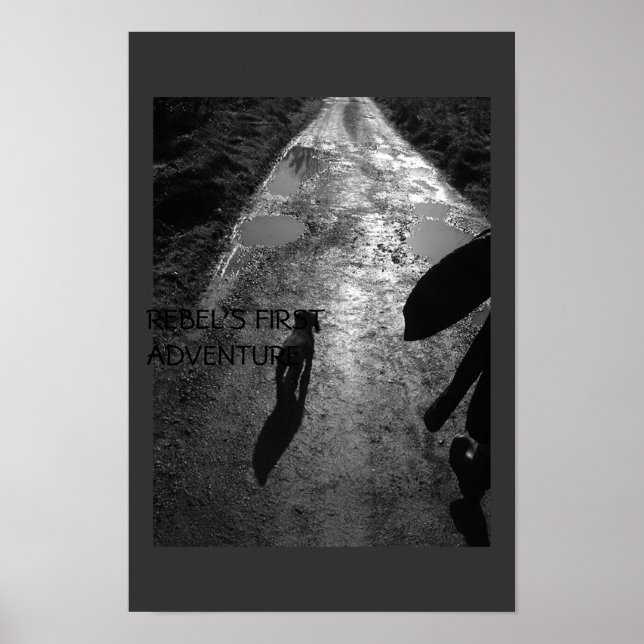 Das erste Abenteuer der Rebellen Poster (Vorne)