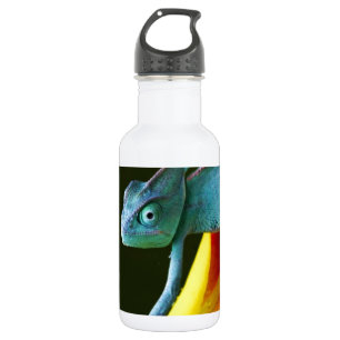 Das fantastische Chamäleon Trinkflasche