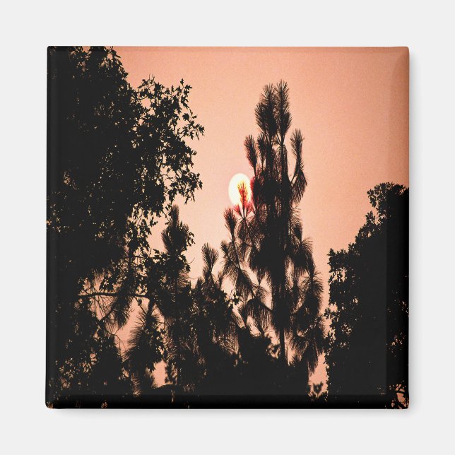 Das Feuer im Indischen Tal......... Magnet (Vorne)