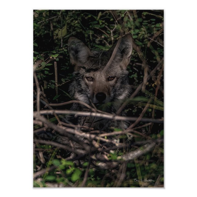 Das Foto der kleinen Mama Guemes Island Print (Vorne)