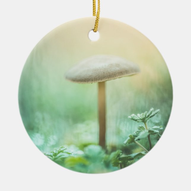 Das Foto der magischen Natur Keramik Ornament (Vorne)