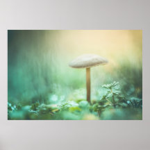 Das Foto der magischen Natur