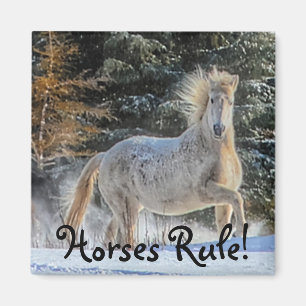 Das Foto ist ein herrliches Weiß-Pferd im Winter. Magnet