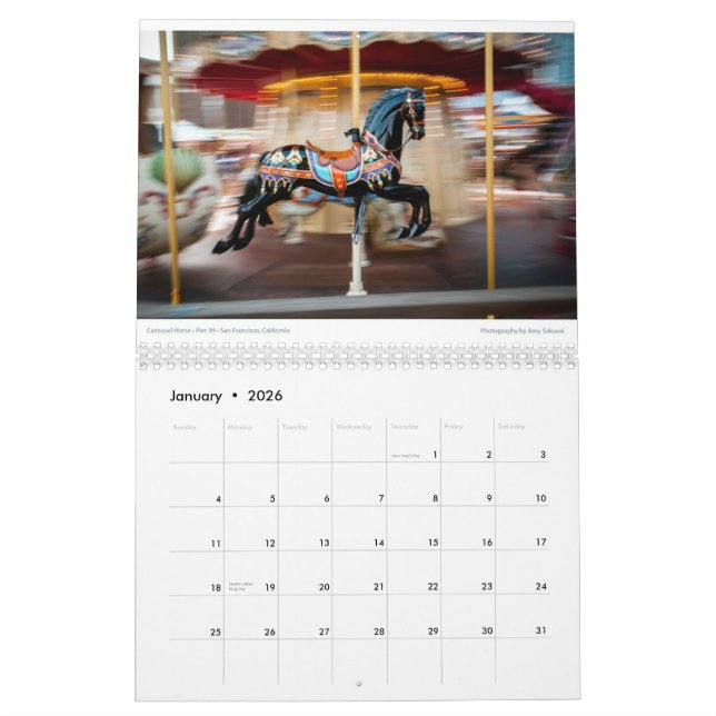 Das Foto-Kalender 2014 des Amys (alt) Kalender (Jan 2026)