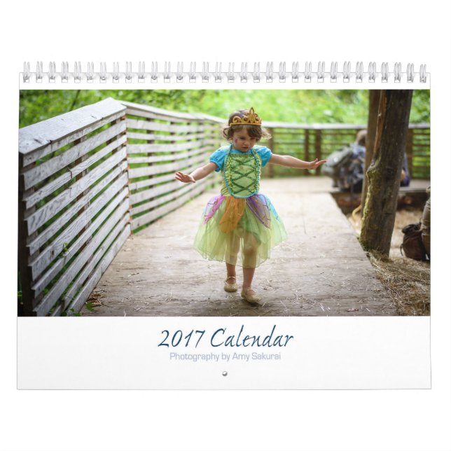 Das Foto-Kalender 2017 des Amys Kalender (Titelbild)